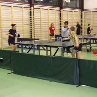 Tenis  de masa